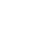 Master X