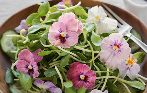 Ricette con i fiori