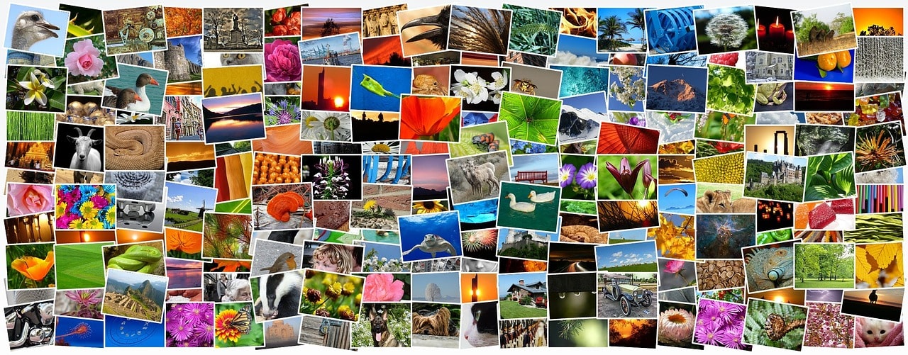 CLIP – Critical Visual Literacy and Fluency