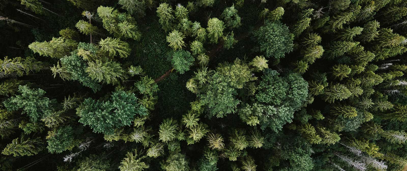 Pubblicato il Vademecum IULM per il Risparmio Energetico