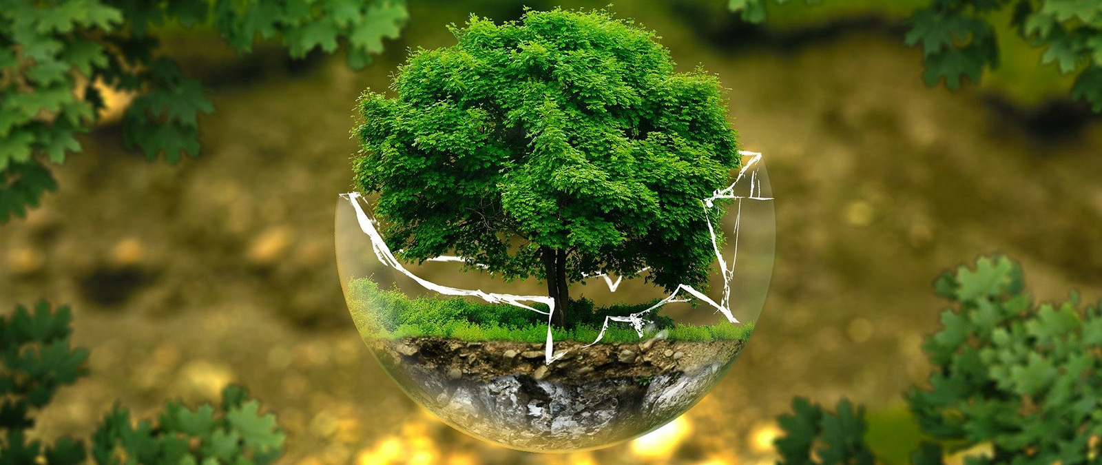 NATiURB: Nature for inclusive and innovative urban regeneration