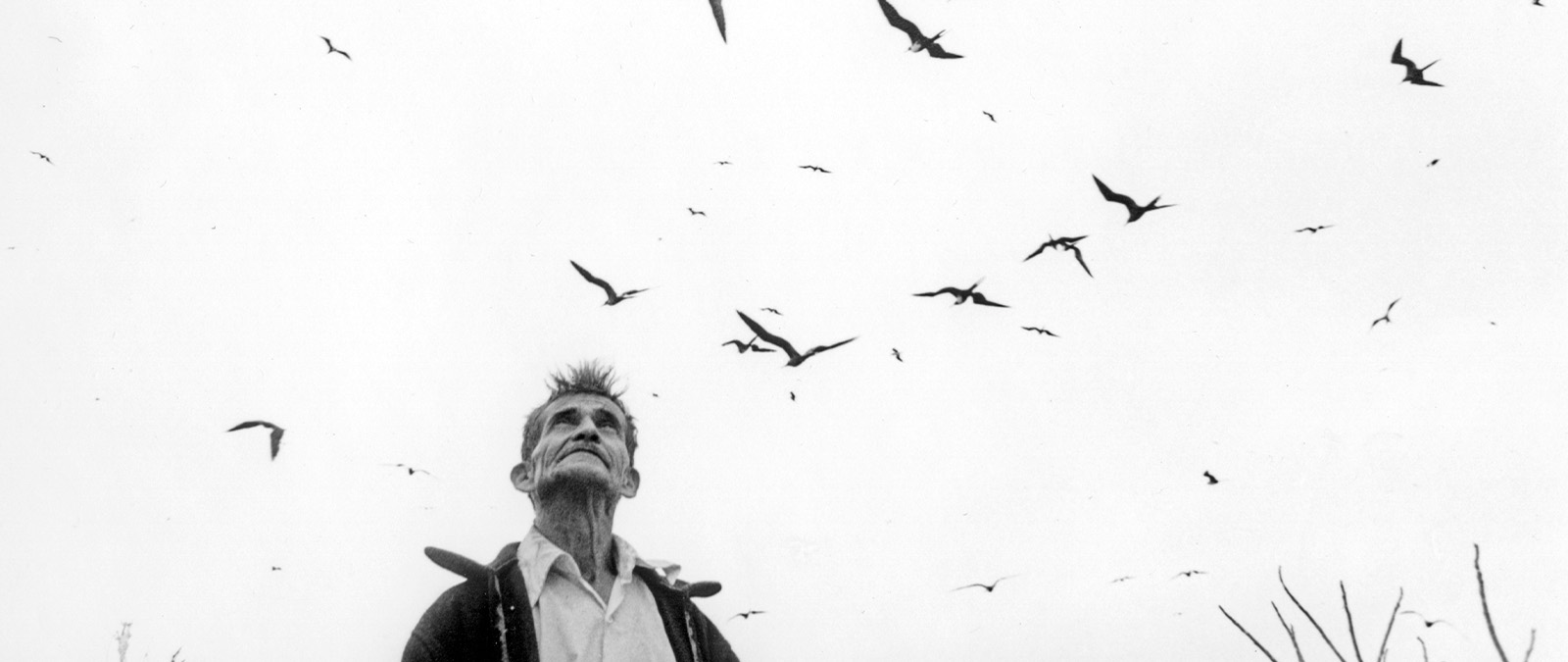 Il viaggio dell'anima: Graciela Iturbide