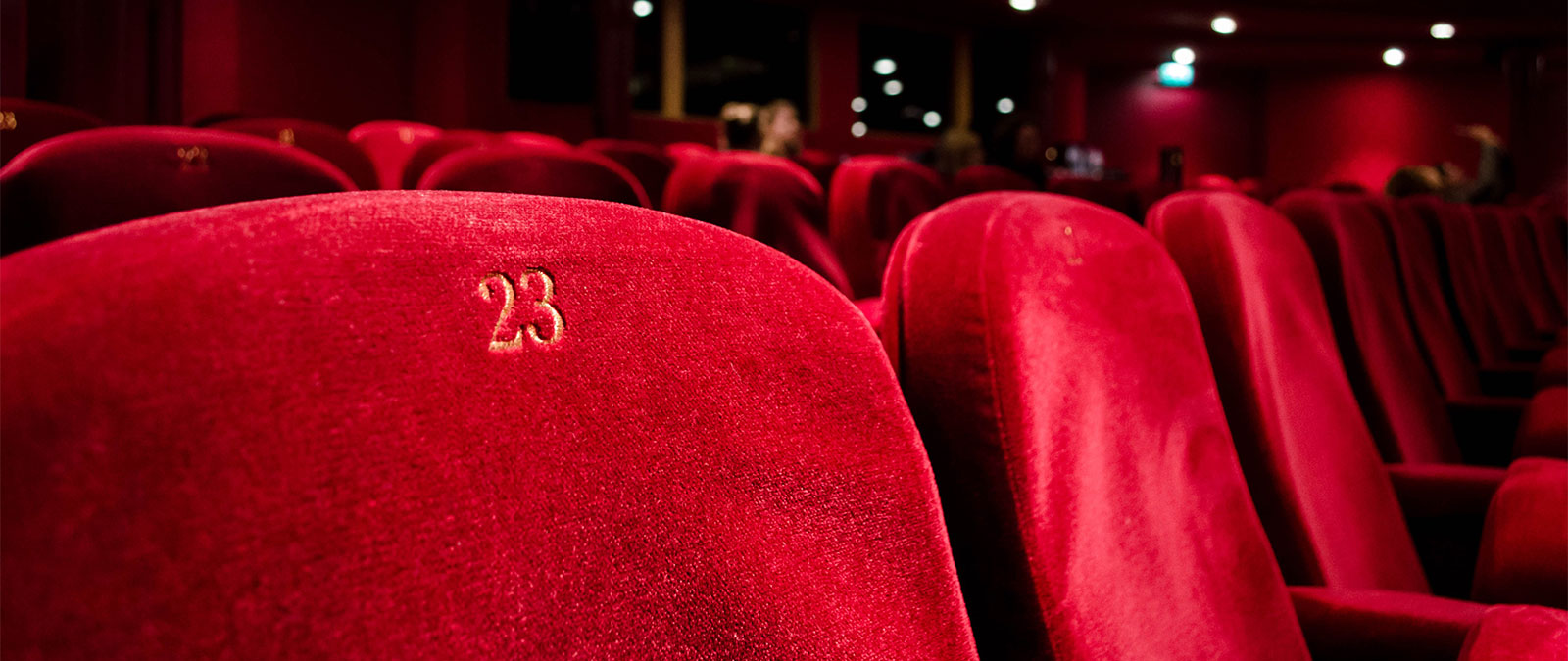 At the cinema with the directors