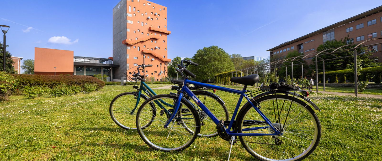 Partecipa con IULM a Mille Mila Bici 2026