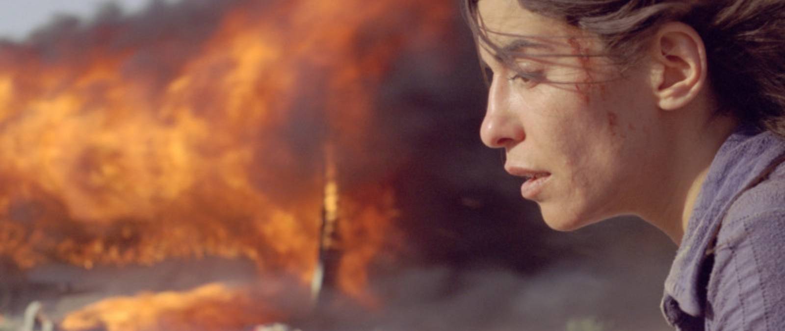 Film Review - Reflections on the subject of violence against women