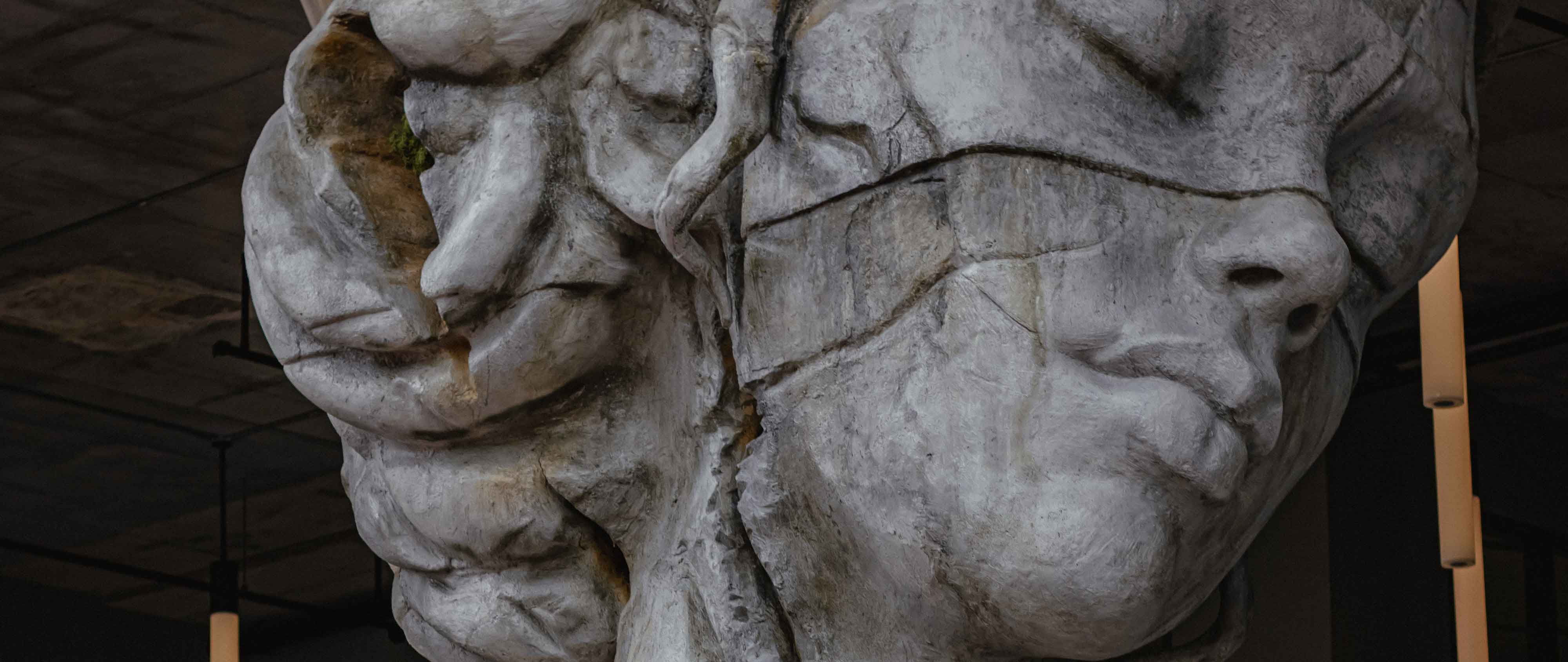 Medea e le altre