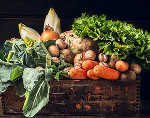 Verdure