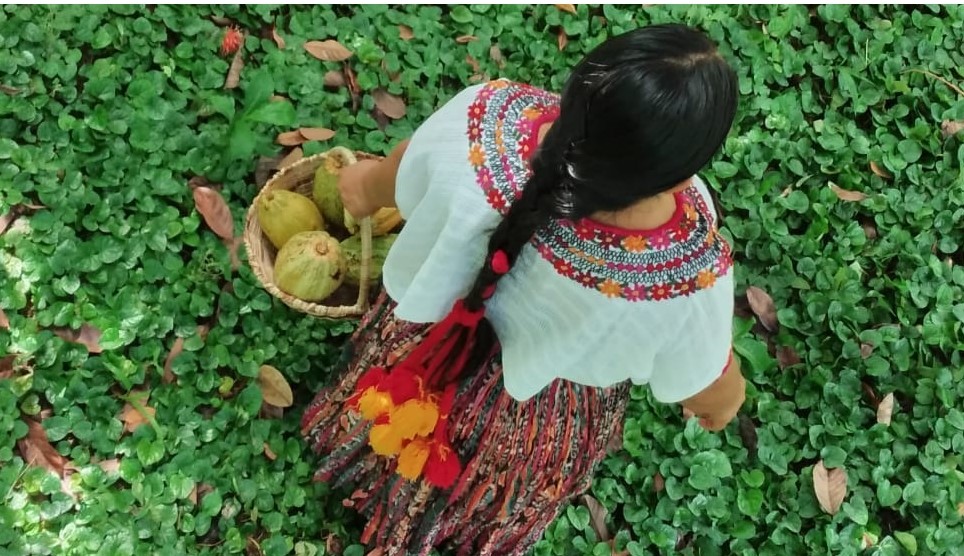 Cacao: a virtual summer school