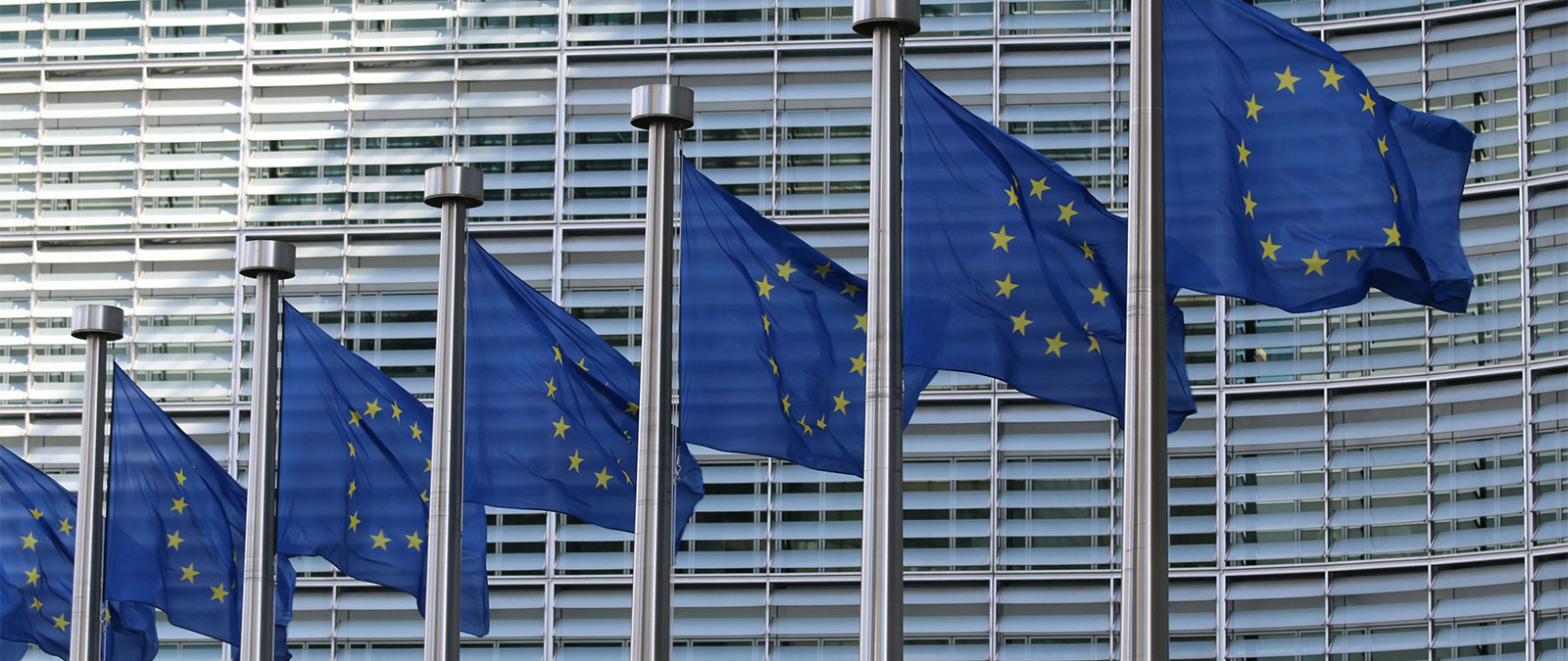 La regolamentazione europea delle piattaforme e dei social: presente e futuro