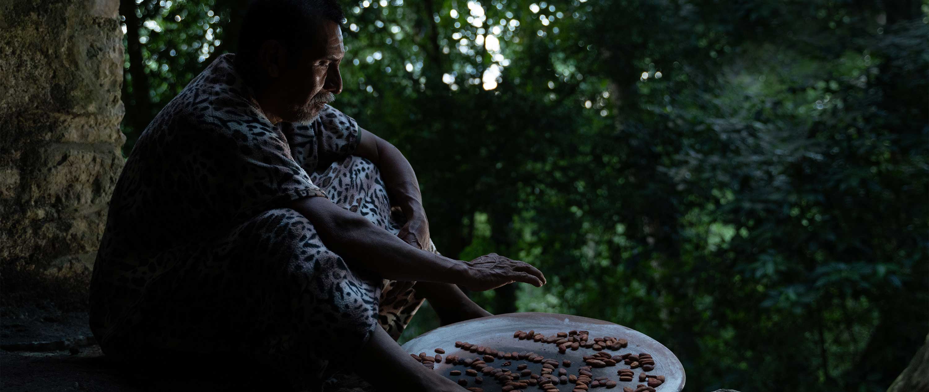 KA'KAO. Una mostra alla scoperta delle radici del cacao