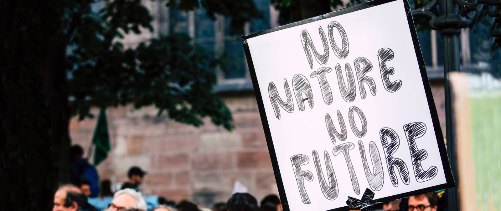 Sustainability and Education: un convegno in IULM