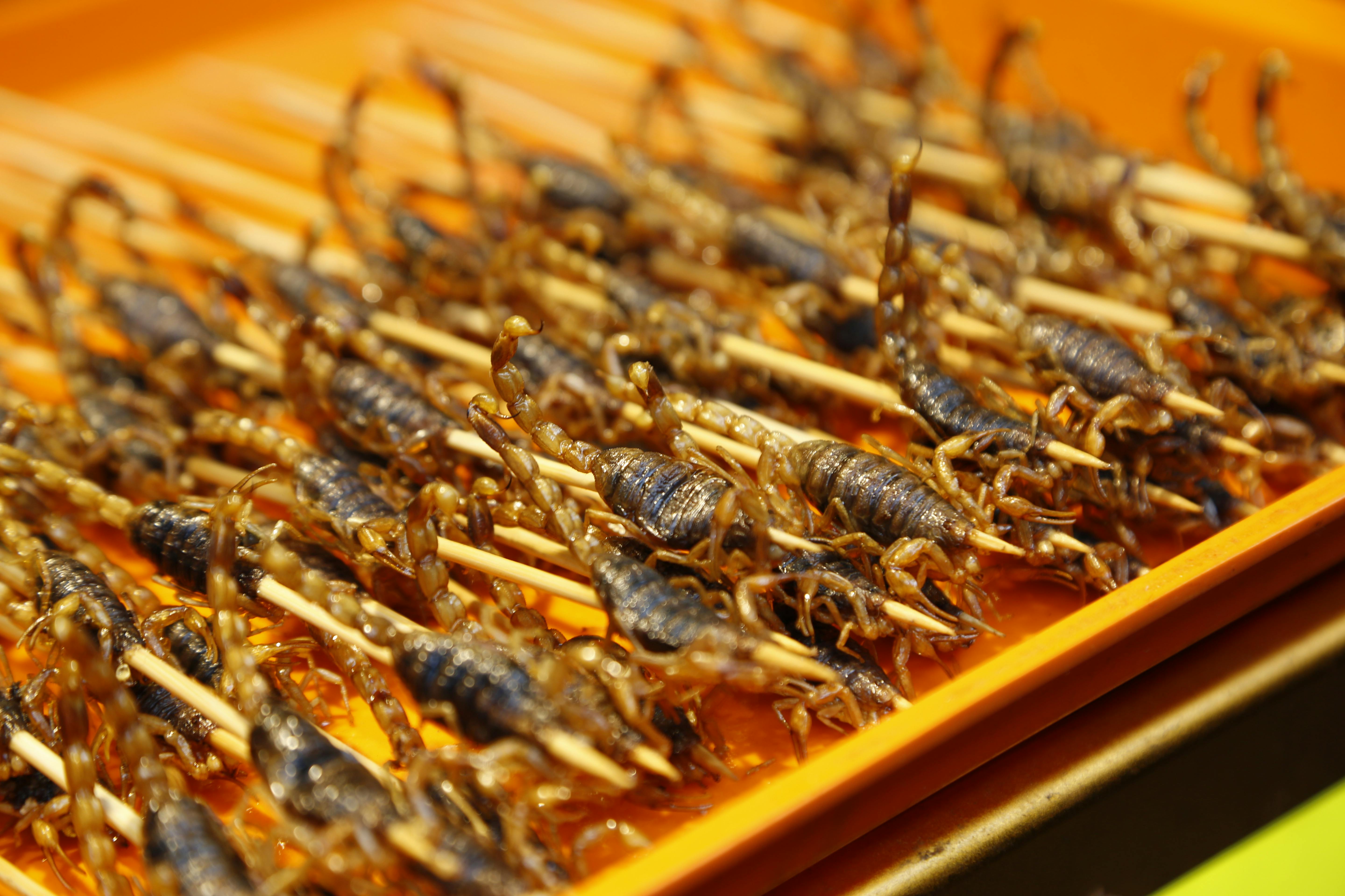 Spiedini di insetti e cavallette fritte a tavola