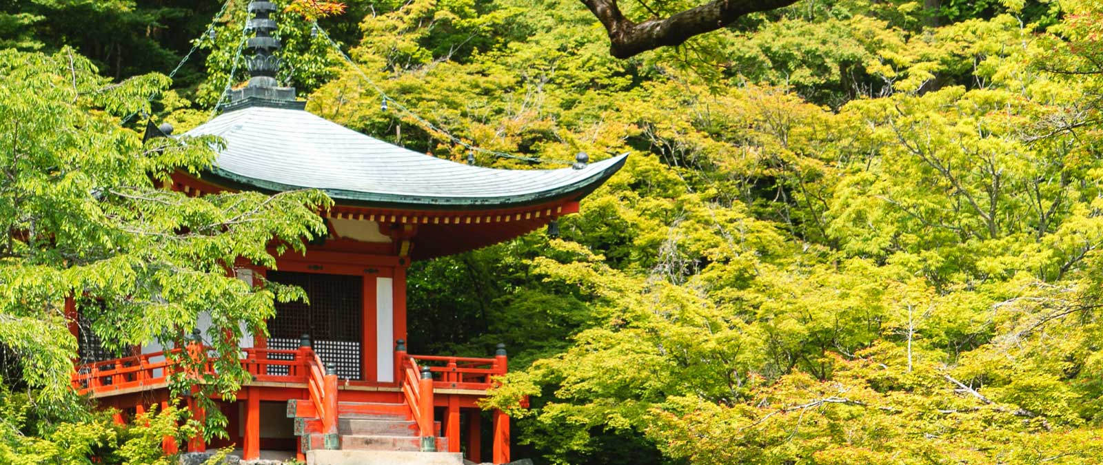 IULM Flow Talk 33: Tomorrow’s China. Technology. Challenges. Sustainability