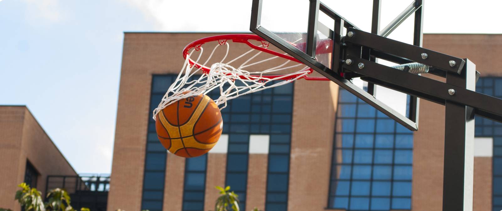 IULM e Unisport