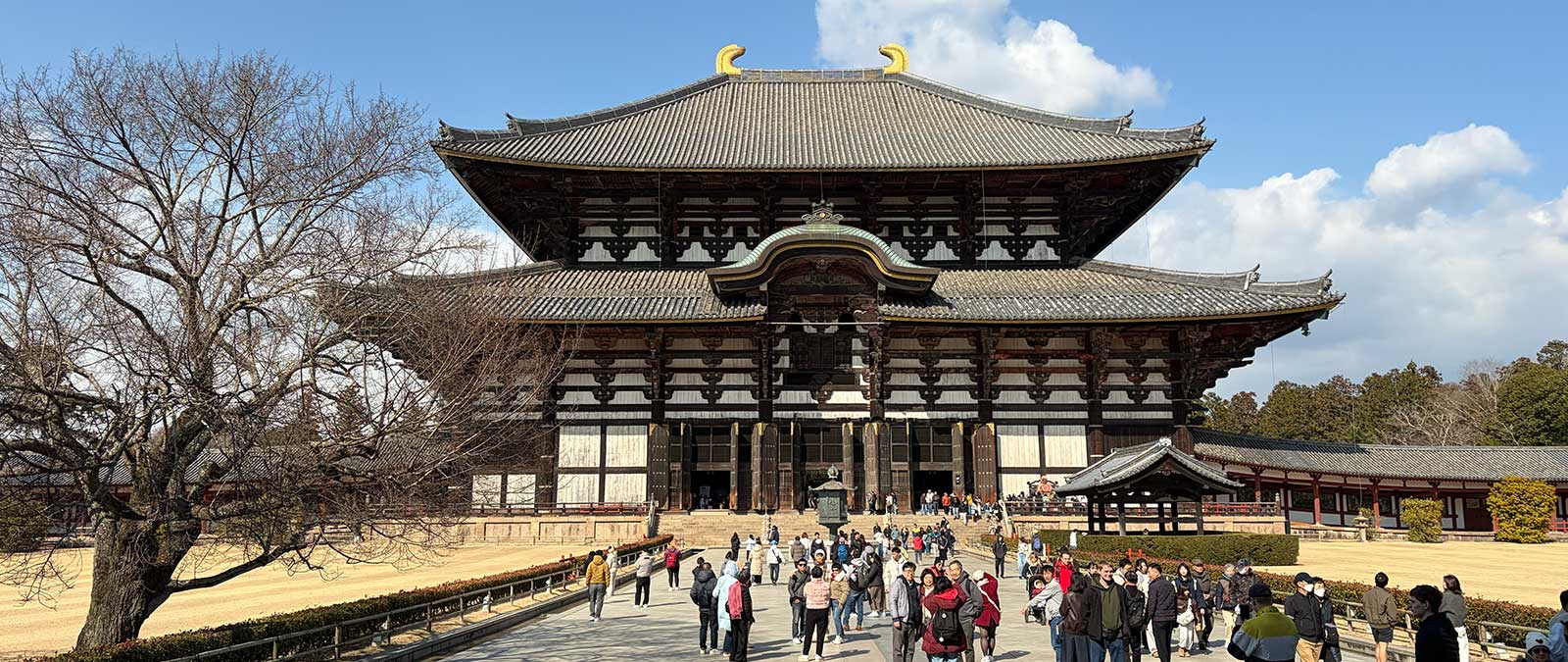 Study trip to Japan: a unique educational experience for IULM students