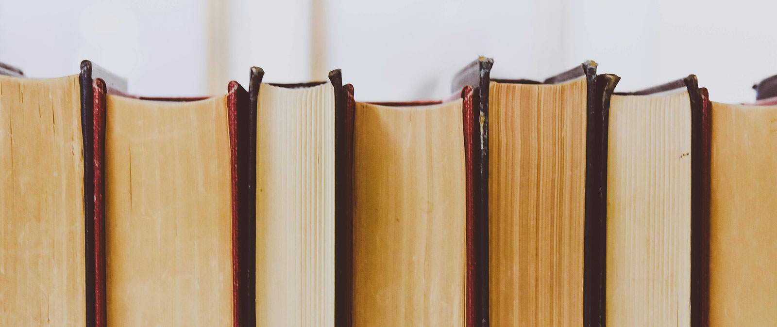 Il professor Massimo De Giuseppe premiato al Franco Cuomo International Award 2025