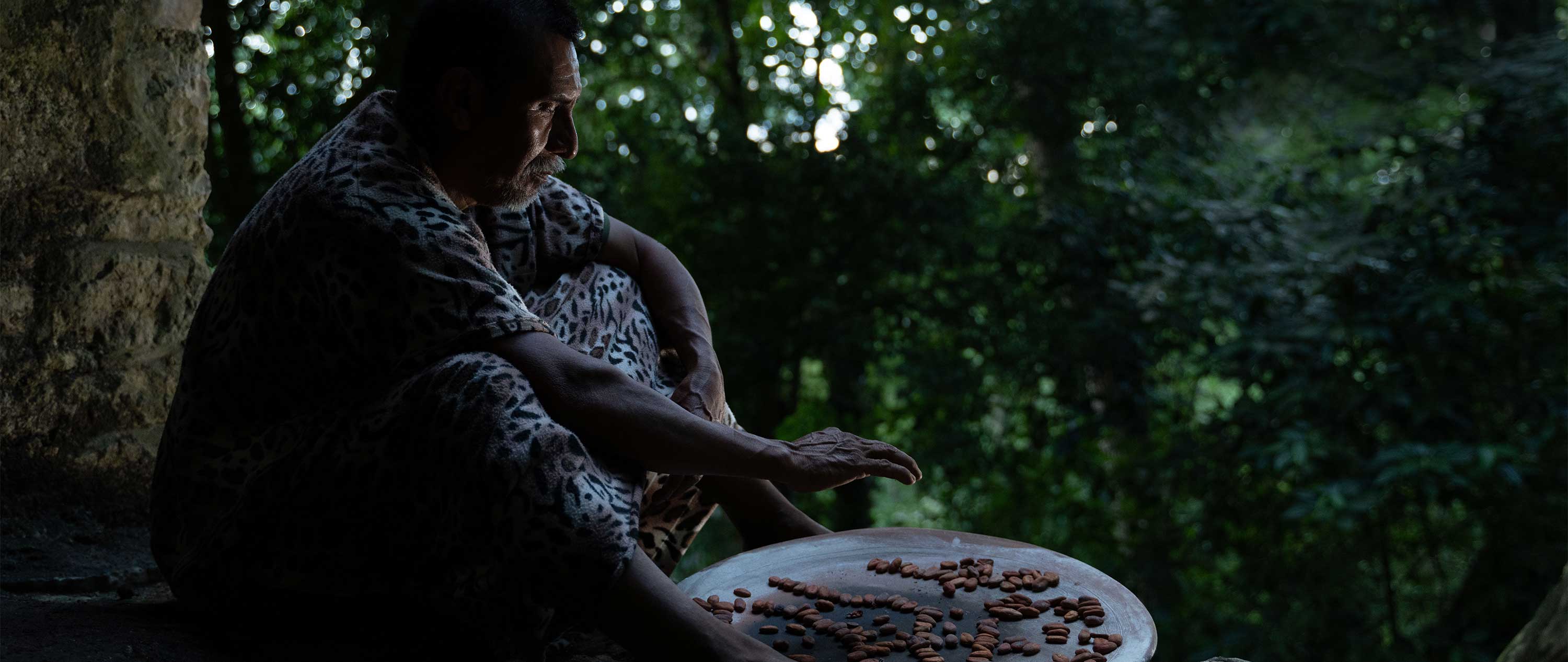KA'KAO. An exhibition to discover the roots of cocoa