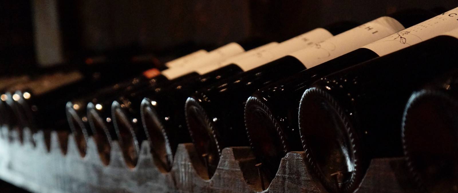 Leadership al femminile: donne imprenditrici nel mondo del vino